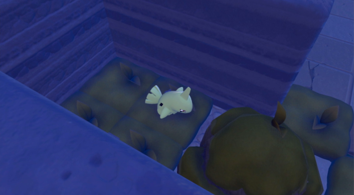 이끼 낀 바위에서 잘자