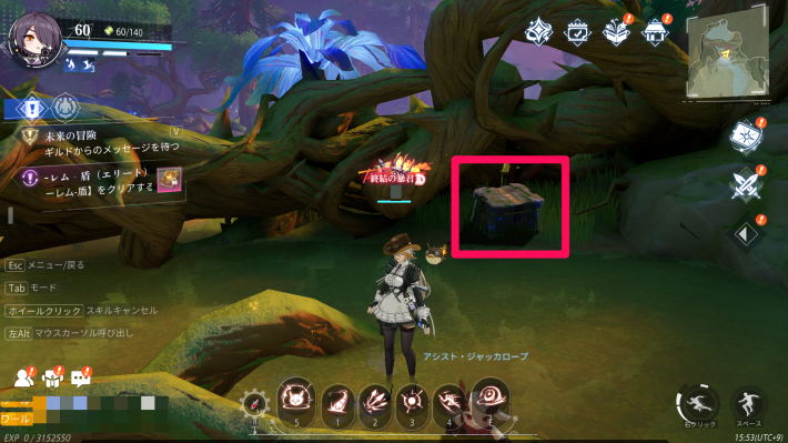 古代巨樹の宝箱1_場所