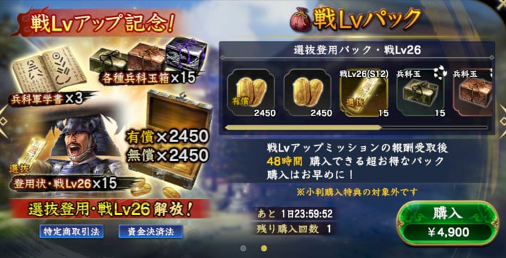 戦Lvパック