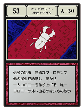 「カードトハント」カードの入手条件と報酬まとめ｜ハンターハンターコラボの画像