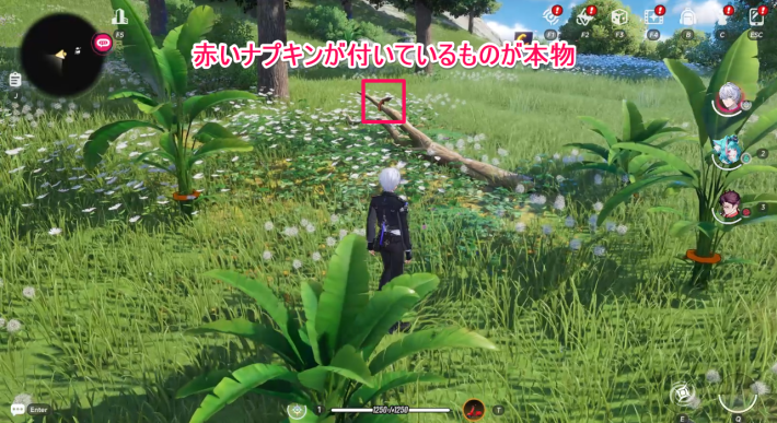 NTEの画像