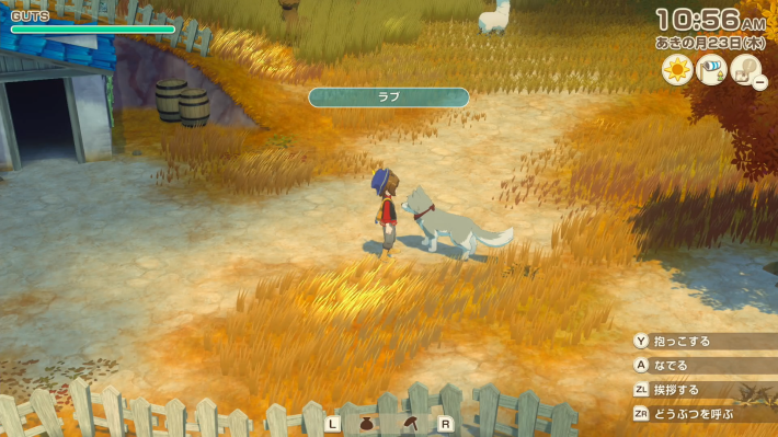 牧場物語 風のグランドバザールのお世話