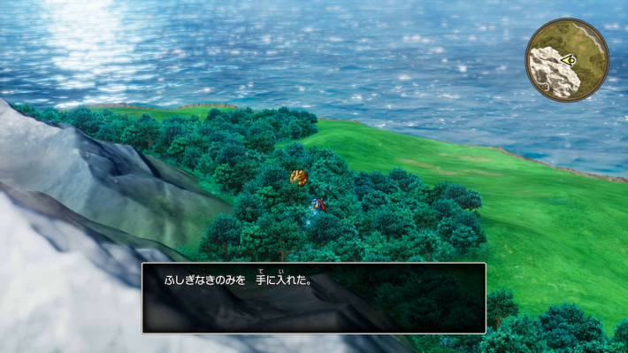 ドラクエ1リメイクの種入手