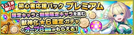 初心者応援パックプレミアム