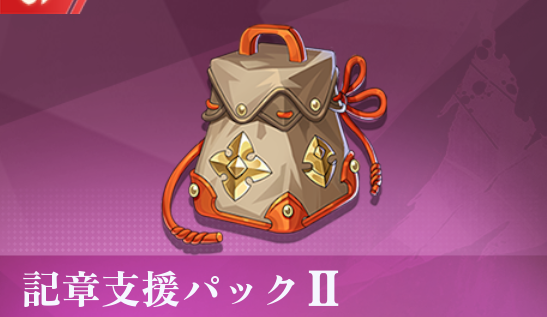 記章支援パックII