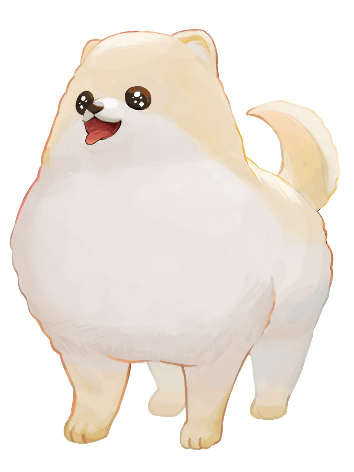 きれいな状態のポメラニアンのイラスト