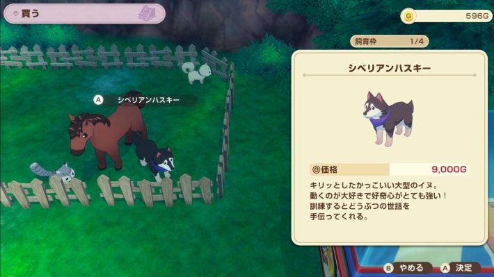 牧場物語 風のグランドバザールのラモラーンでペットを購入する
