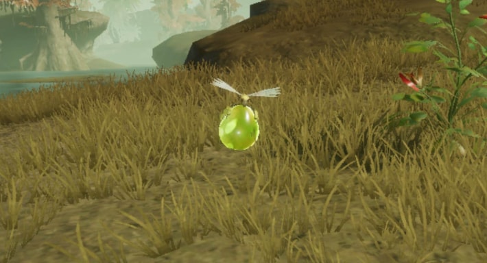 Vigorwasp in the field