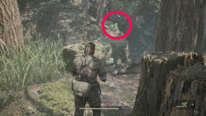 スヴィヤトゴルニ西部_ケロタン＿現地