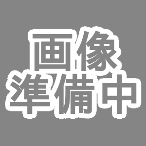 ドラクエ2リメイクの画像準備中