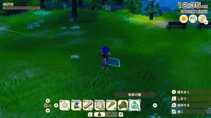 牧場物語 風のグランドバザールの牧草の種まき