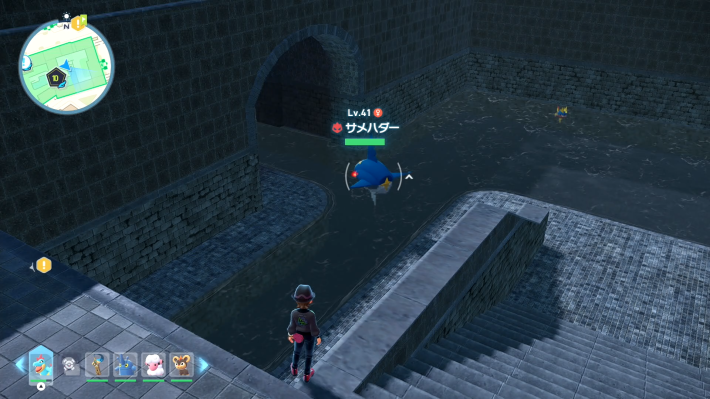 ポケモンZAのオヤブンサメハダーの場所