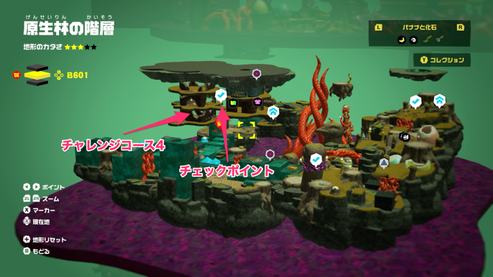 原生林の階層チャレンジコース4