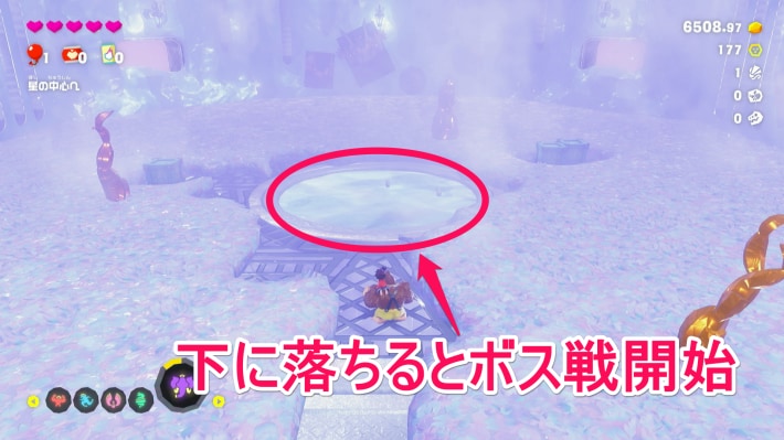 ポッピーコングの現地画像