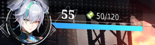 キャラLv.55