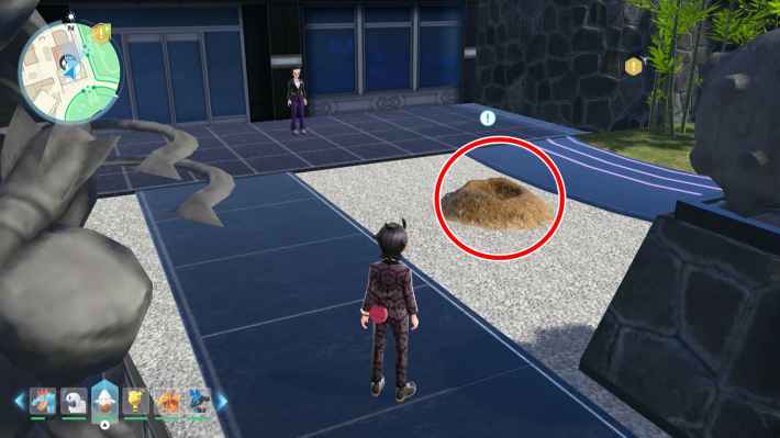 ポケモンZAの庭を荒らした犯人は？の現地