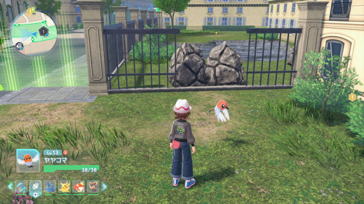 ワイルドゾーン1の水辺付近の画像