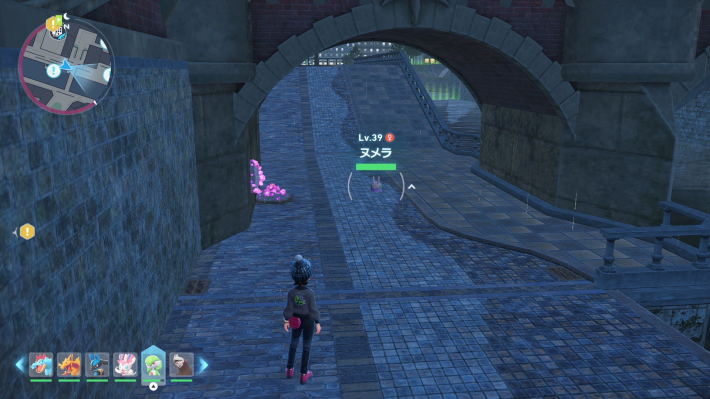 ポケモンZAヌメラの出現場所