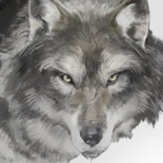 ゴーストオブヨウテイの狼