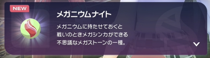 メガストーンの説明