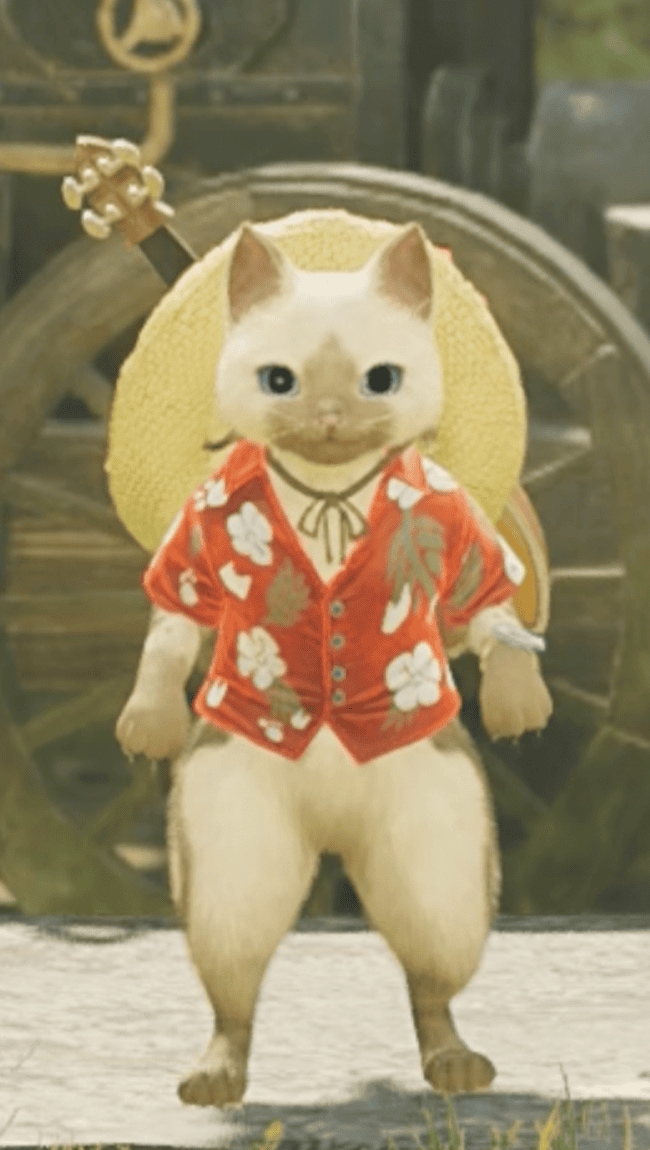 アロハ前