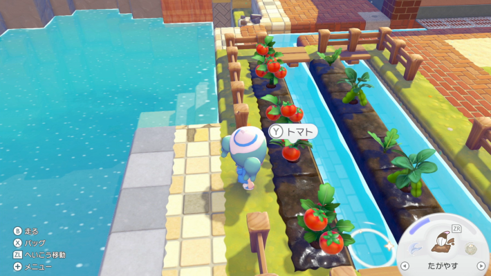 ぽこあポケモン】トマトの入手方法と効率的な集め方【ぽこポケ