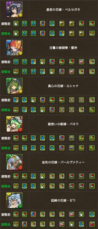 バステト パズドラ 花嫁