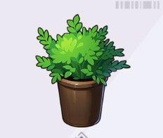 茶色い鉢のシダ