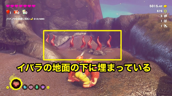 B601のイバラの下のブタの化石の現地