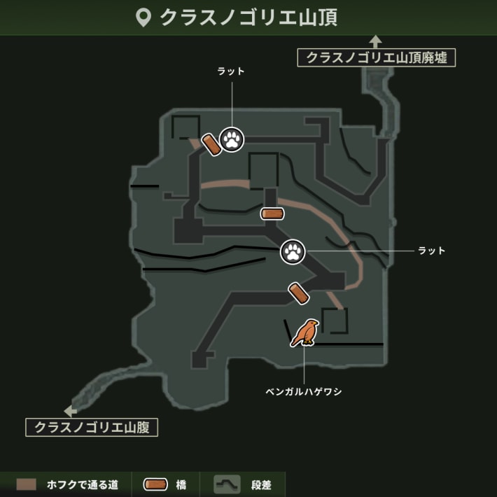 クラスノゴリエ山頂_動植物