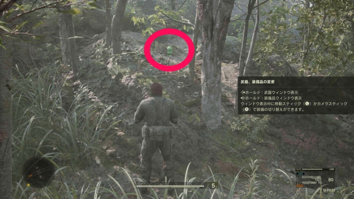 ドレムチイ沼沢部＿ケロタン_現地
