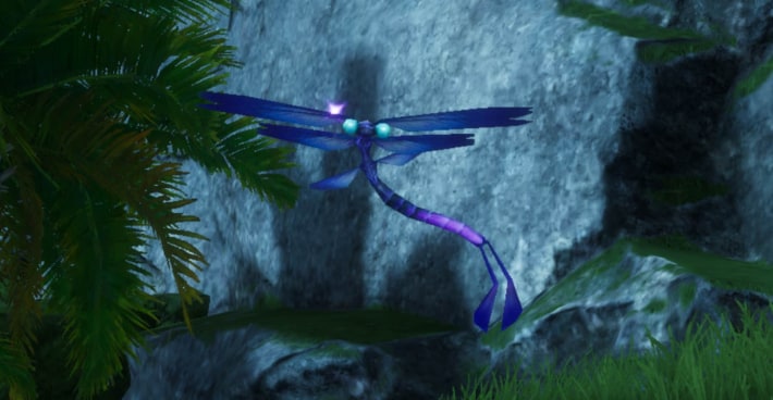 Gloomfly in the field