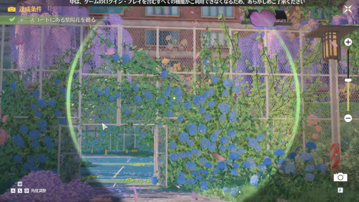 テニスコートにある紫陽花