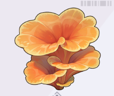 オレンジフレイムサンゴ