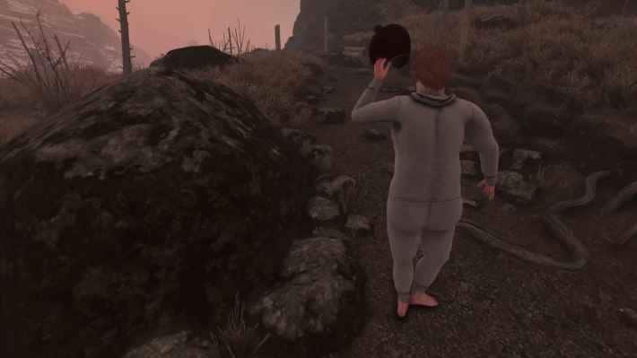A Very Unprofessional Baby Steps Developer Overview