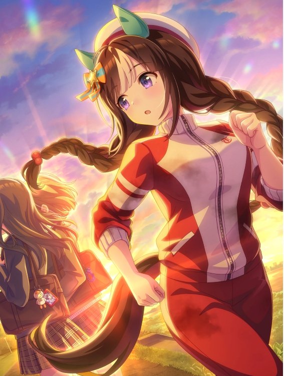 ホッコータルマエ