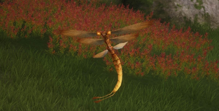 Seerfly in the field
