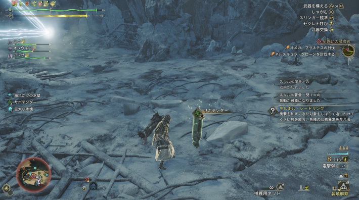 ワイルズのサボテンダー