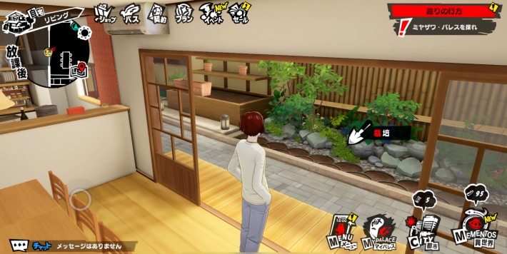 栽培のやり方と種の入手方法の画像