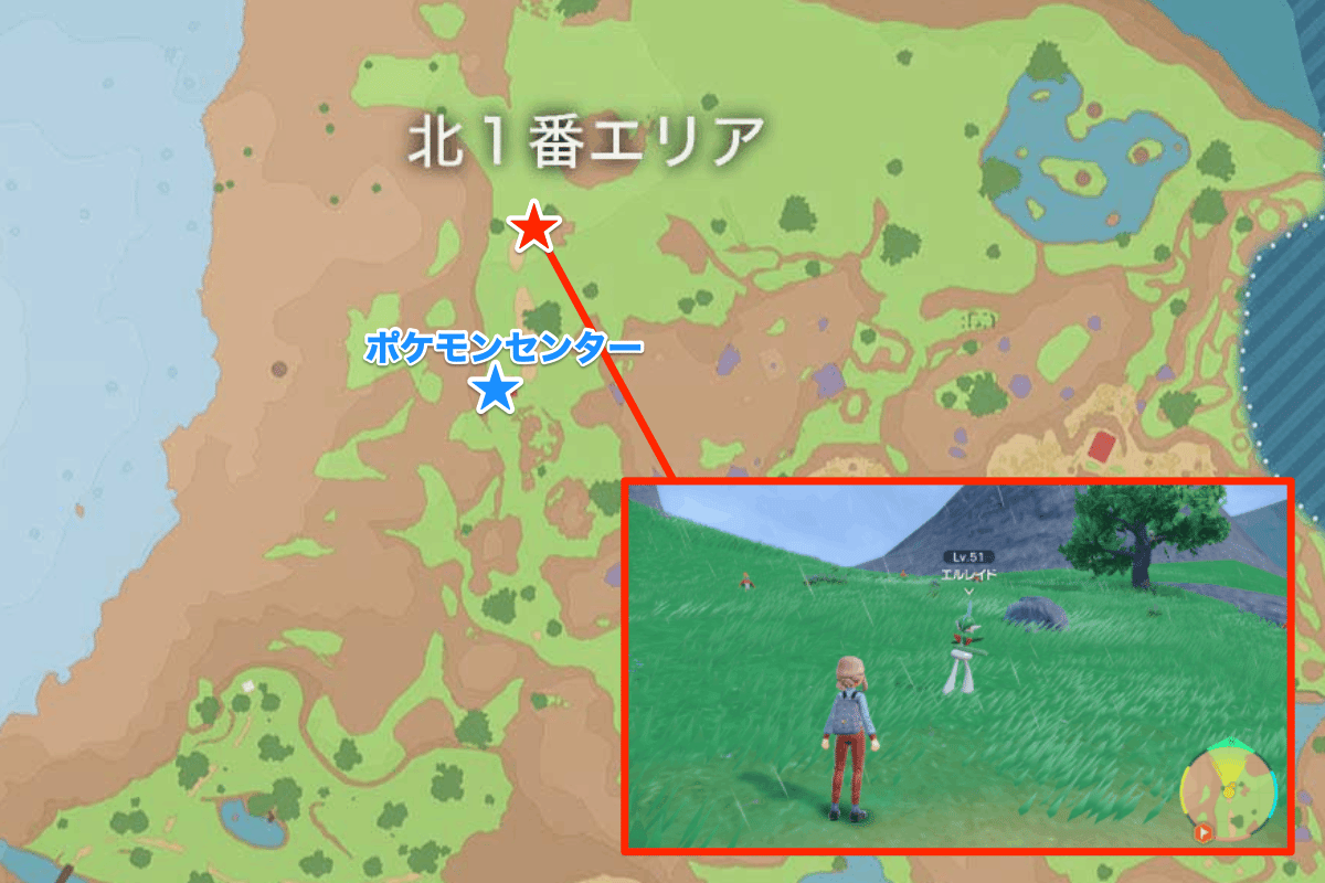 【ポケモンSV】エルレイドの進化と色違い・弱点と特性【スカーレットバイオレット】 - ゲームウィズ