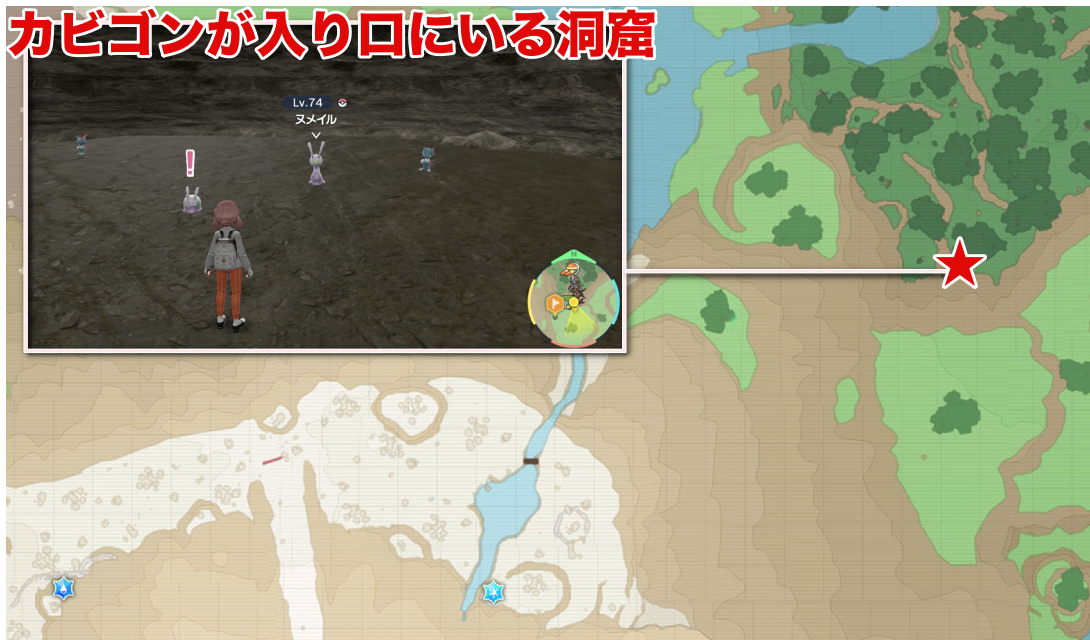 ヌメルゴン 強さ アルセウス ヌメルゴン 構築済みデッキ