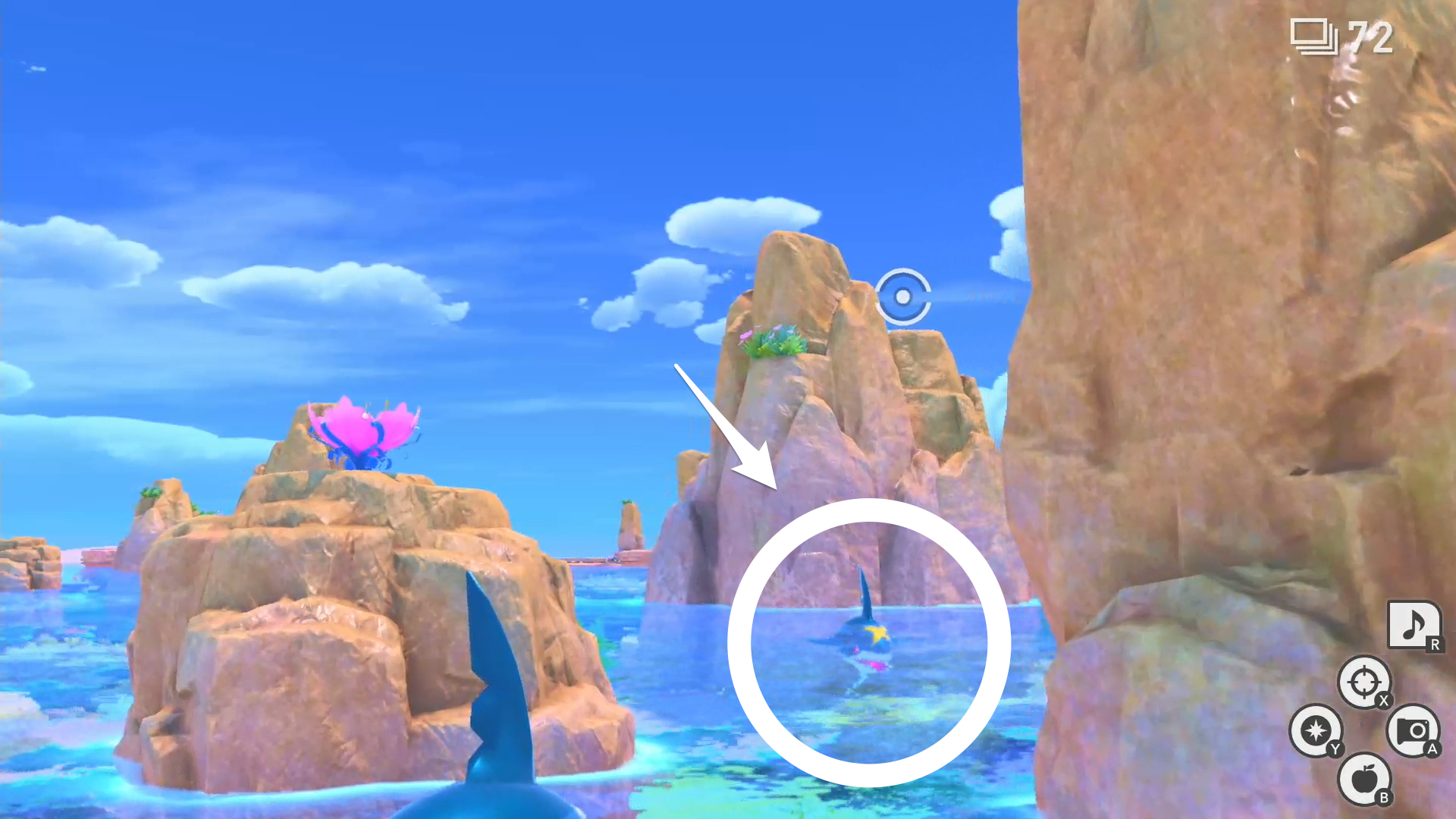 ポケモンスナップ 海のギャングの食生活の攻略 サメハダーのリクエスト ポケスナswitch ゲームウィズ Gamewith