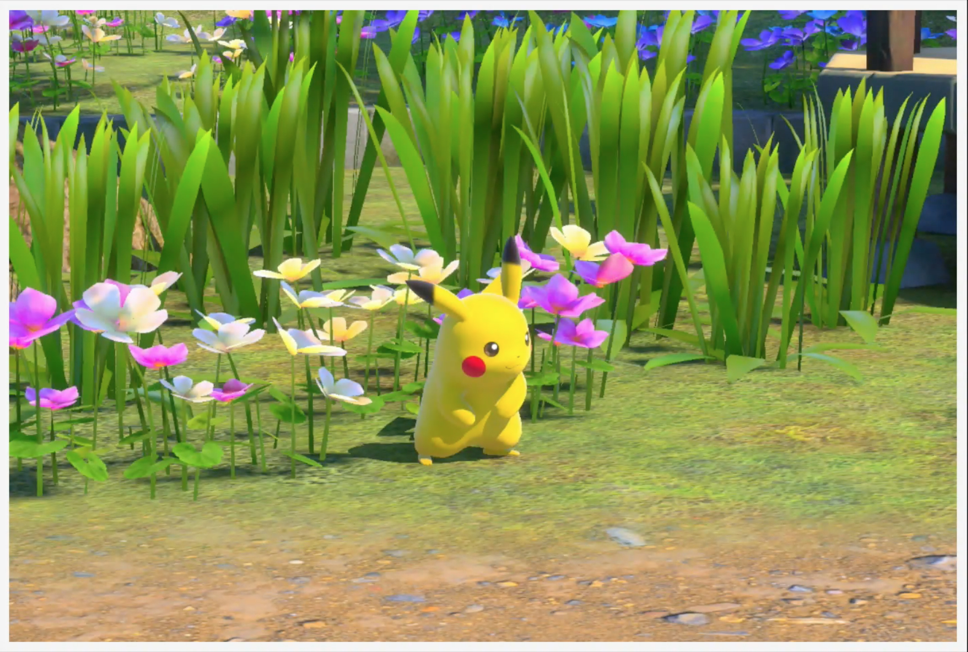 ポケモンスナップ ピカチュウの出現場所 ポケスナswitch ゲームウィズ Gamewith