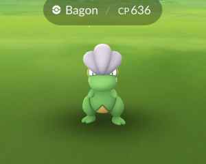 ポケモンgo タツベイの色違いと進化先 個体値早見表 ゲームウィズ gamewith