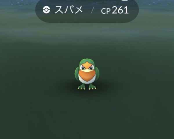 ポケモンgo ホウエンウィーク中に必ずやっておきたいこと ゲームウィズ gamewith