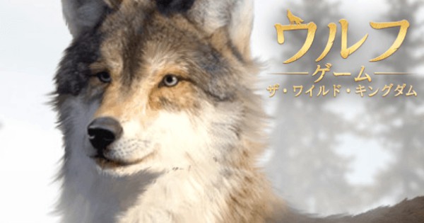 リアルなもふもふ「狼」が集結!大自然を生き抜く、日本初の狼育成シミュレーションRPG