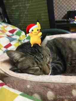 ポケモンgo ミツハニーの進化先と個体値早見表 おすすめ技 ゲームウィズ Gamewith